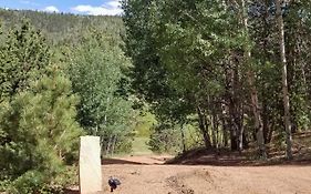 Hillside Cripple Creek Cabin With Hot Tub, Mtn Views